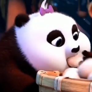 Meet your Posher, Xuan